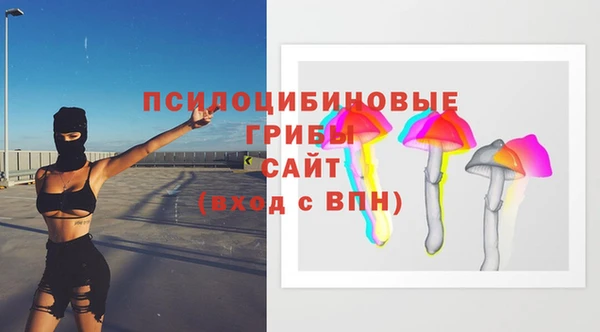 ECSTASY Алексин