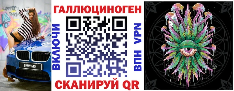 магазин продажи наркотиков  Каргат  Псилоцибиновые грибы мицелий 
