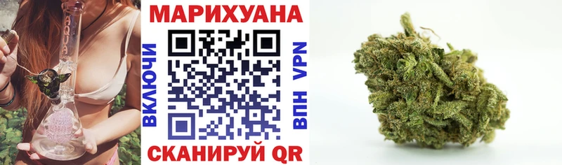 Марихуана сатива  как найти закладки  Каргат 